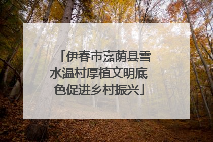 伊春市嘉荫县雪水温村厚植文明底色促进乡村振兴