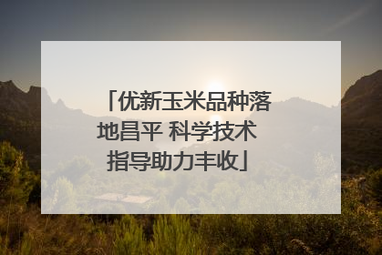 优新玉米品种落地昌平 科学技术指导助力丰收