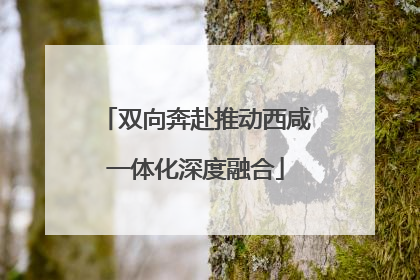 双向奔赴推动西咸一体化深度融合
