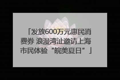 发放600万元惠民消费券 浪漫湾沚邀请上海市民体验“皖美夏日”