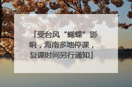 受台风“蝴蝶”影响，海南多地停课，复课时间另行通知