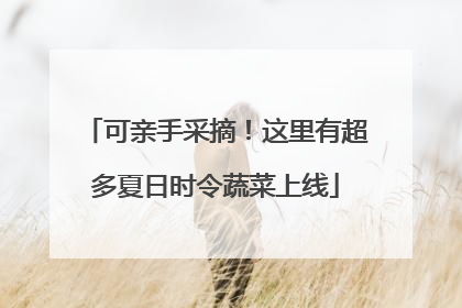 可亲手采摘！这里有超多夏日时令蔬菜上线