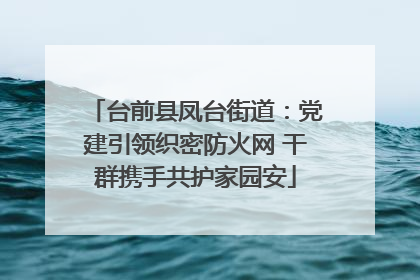 台前县凤台街道：党建引领织密防火网 干群携手共护家园安