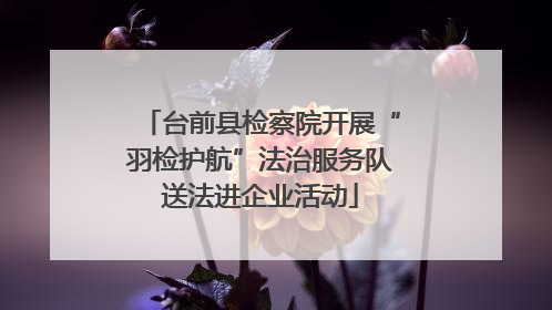 台前县检察院开展“羽检护航”法治服务队送法进企业活动