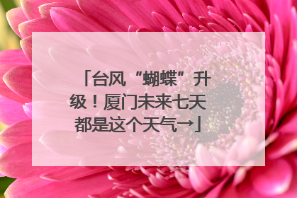 台风“蝴蝶”升级！厦门未来七天都是这个天气→