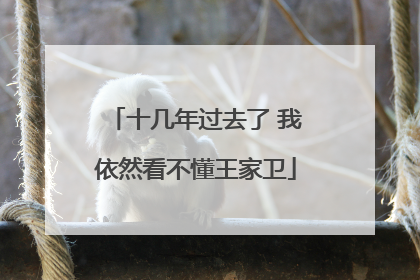 十几年过去了 我依然看不懂王家卫