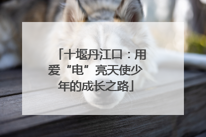 十堰丹江口：用爱“电”亮天使少年的成长之路
