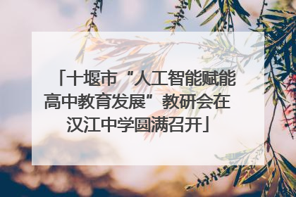 十堰市“人工智能赋能高中教育发展”教研会在汉江中学圆满召开