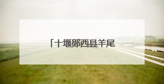 十堰郧西县羊尾镇“甜蜜产业”鼓起群众钱袋子