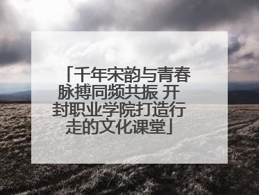 千年宋韵与青春脉搏同频共振 开封职业学院打造行走的文化课堂