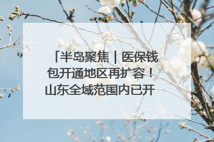 半岛聚焦｜医保钱包开通地区再扩容！山东全域范围内已开通，有何用处？如何操作？速戳→