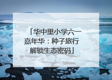 华中里小学六一嘉年华：种子旅行解锁生态密码