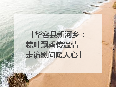 华容县新河乡：粽叶飘香传温情 走访慰问暖人心