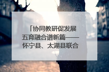 协同教研促发展 五育融合谱新篇——怀宁县、太湖县联合教研活动在月山镇中心学校成功举办