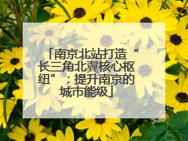 南京北站打造“长三角北翼核心枢纽”：提升南京的城市能级