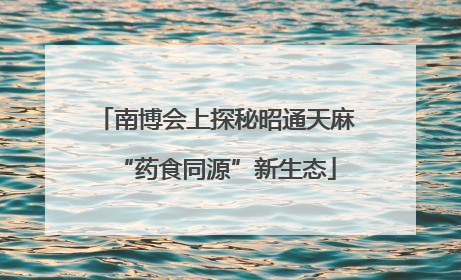 南博会上探秘昭通天麻“药食同源”新生态
