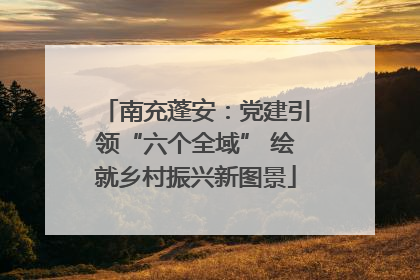 南充蓬安：党建引领“六个全域” 绘就乡村振兴新图景