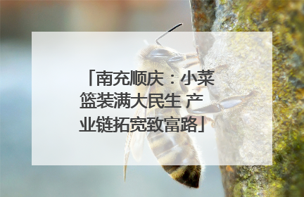 南充顺庆：小菜篮装满大民生 产业链拓宽致富路