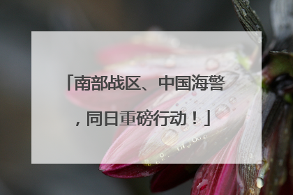 南部战区、中国海警，同日重磅行动！