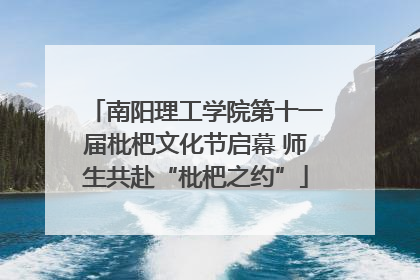 南阳理工学院第十一届枇杷文化节启幕 师生共赴“枇杷之约”
