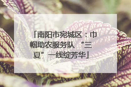 南阳市宛城区：巾帼助农服务队 “三夏”一线绽芳华