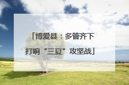 博爱县：多管齐下 打响“三夏”攻坚战