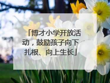 博才小学开放活动，鼓励孩子向下扎根、向上生长