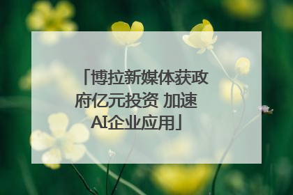 博拉新媒体获政府亿元投资 加速AI企业应用