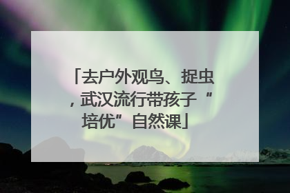 去户外观鸟、捉虫，武汉流行带孩子“培优”自然课