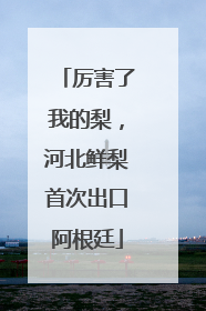 厉害了我的梨，河北鲜梨首次出口阿根廷