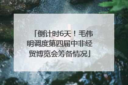 倒计时6天！毛伟明调度第四届中非经贸博览会筹备情况