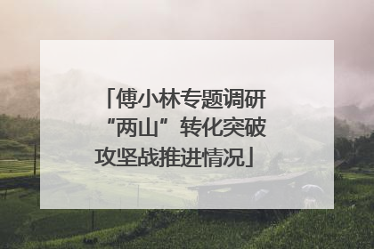 傅小林专题调研“两山”转化突破攻坚战推进情况