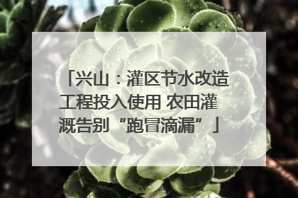 兴山：灌区节水改造工程投入使用 农田灌溉告别“跑冒滴漏”