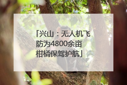兴山：无人机飞防为4800余亩柑橘保驾护航
