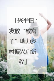 兴平镇：发放“致富羊”助力乡村振兴启新程
