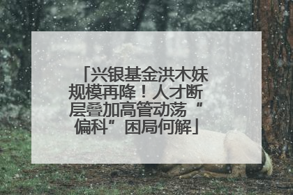 兴银基金洪木妹规模再降！人才断层叠加高管动荡“偏科”困局何解