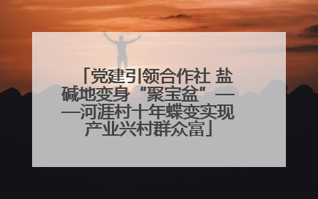 党建引领合作社 盐碱地变身“聚宝盆”——河涯村十年蝶变实现产业兴村群众富