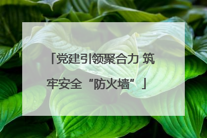 党建引领聚合力 筑牢安全“防火墙”