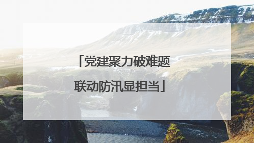 党建聚力破难题 联动防汛显担当