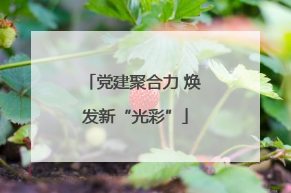 党建聚合力 焕发新“光彩”