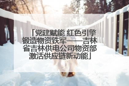 党建赋能 红色引擎锻造物资铁军——吉林省吉林供电公司物资部激活供应链新动能