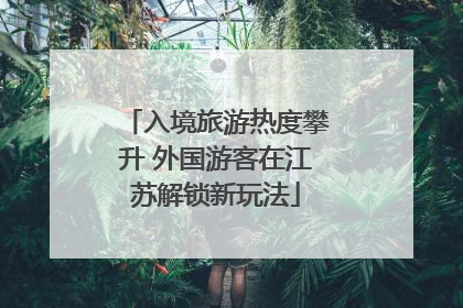 入境旅游热度攀升 外国游客在江苏解锁新玩法