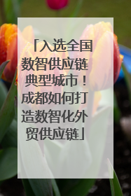 入选全国数智供应链典型城市！成都如何打造数智化外贸供应链