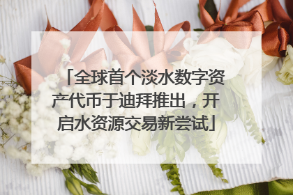 全球首个淡水数字资产代币于迪拜推出，开启水资源交易新尝试