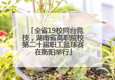 全省19校同台竞技，湖南省高职院校第二十届职工篮球赛在衡阳举行