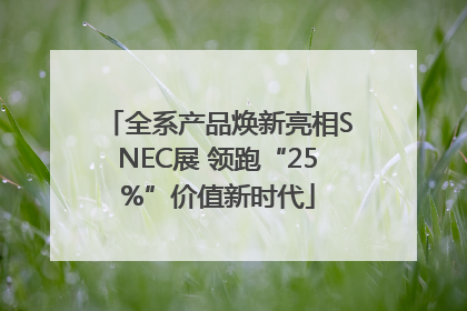 全系产品焕新亮相SNEC展 领跑“25%”价值新时代
