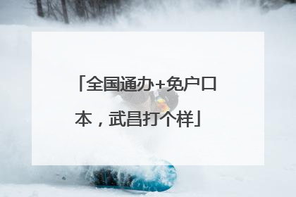 全国通办+免户口本，武昌打个样