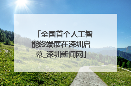 全国首个人工智能终端展在深圳启幕_深圳新闻网