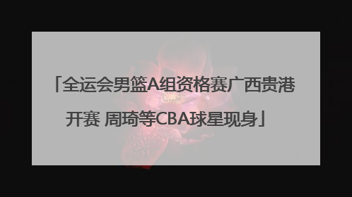 全运会男篮A组资格赛广西贵港开赛 周琦等CBA球星现身