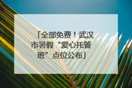 全部免费！武汉市暑假“爱心托管班”点位公布